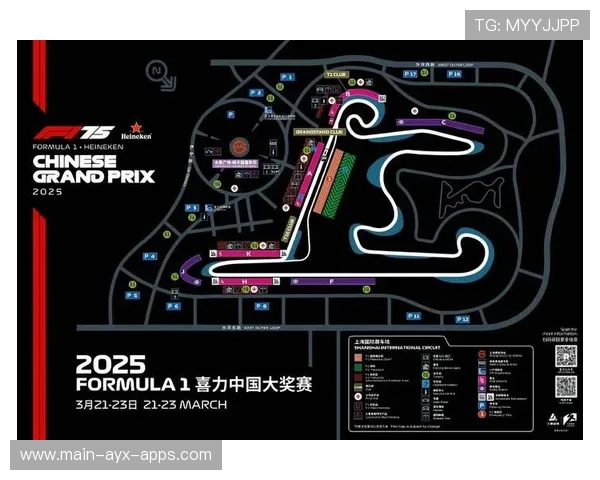 赛车赛季历史记录与关键亮点分析