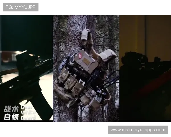 战术执行：节奏掌控稳定（282 ）